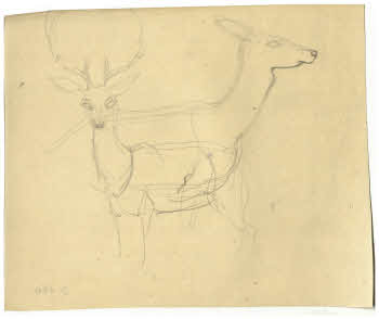 Visualizza l'immagine "FD D 170"